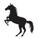 سوق الخيل