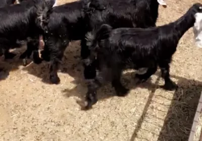1-3