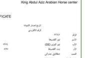 نور – فحل واهو فاخر – الطائف